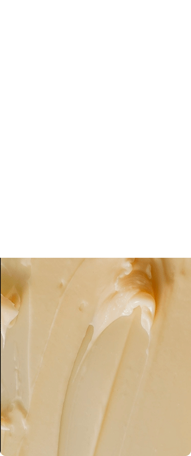 ciclo_circadiano_mobile2.png