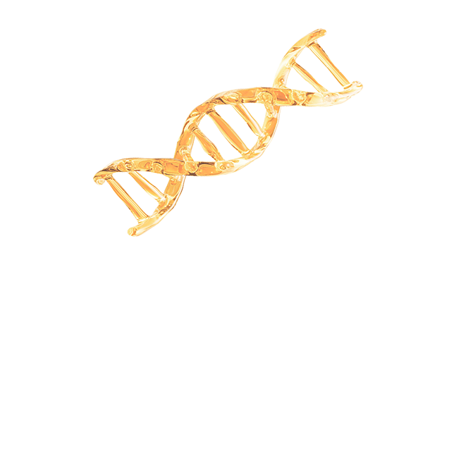 m-card-pdrn.png