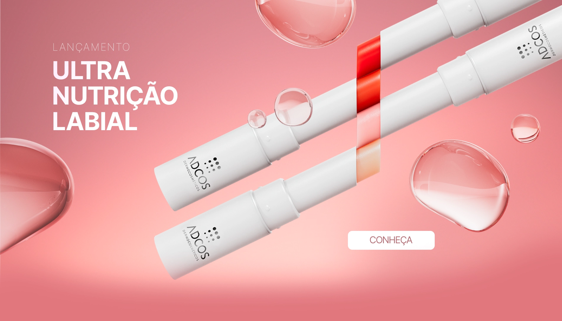 banner-principal.webp