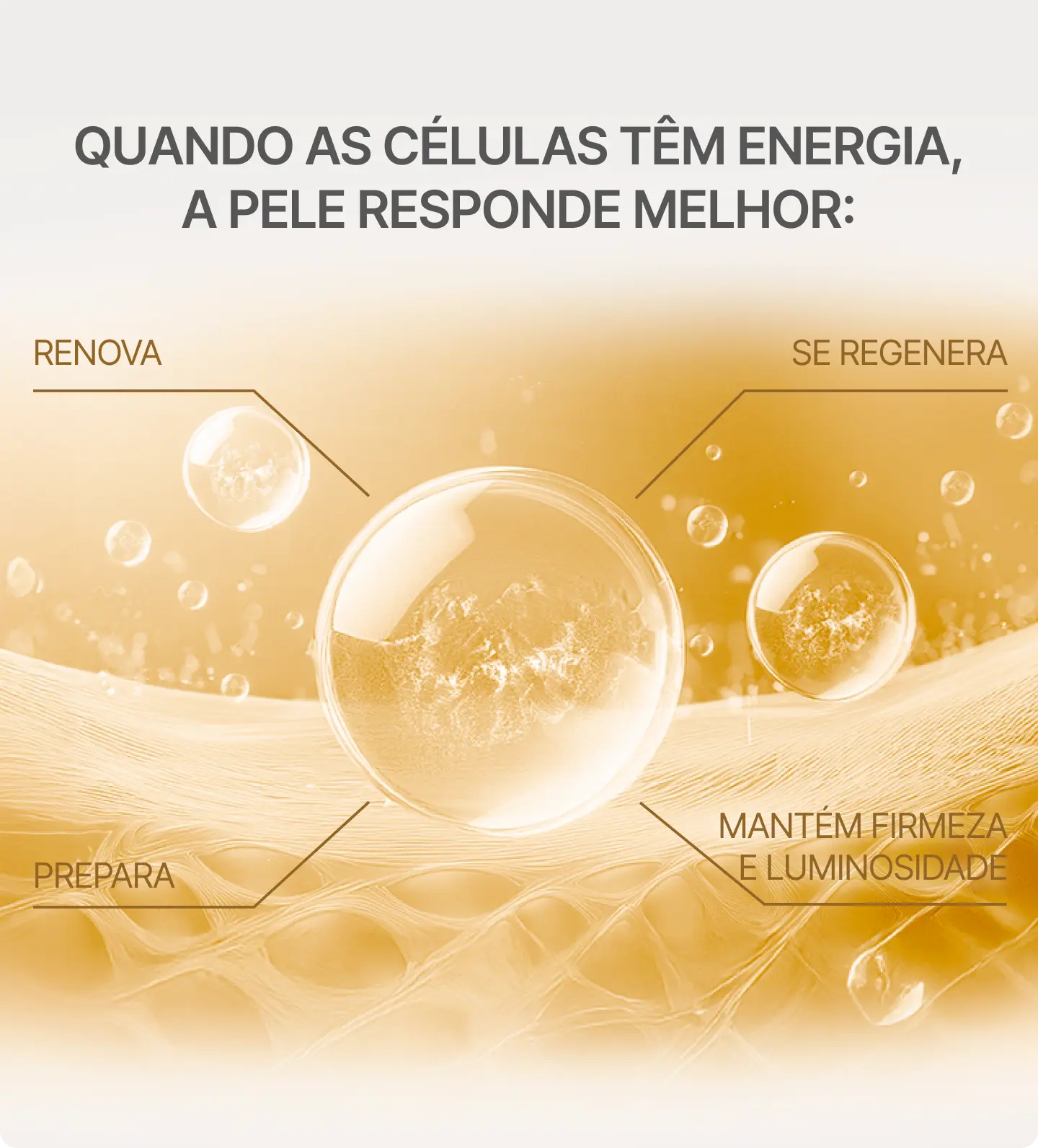 ENERGIA-CELULAR-MOBILE.webp