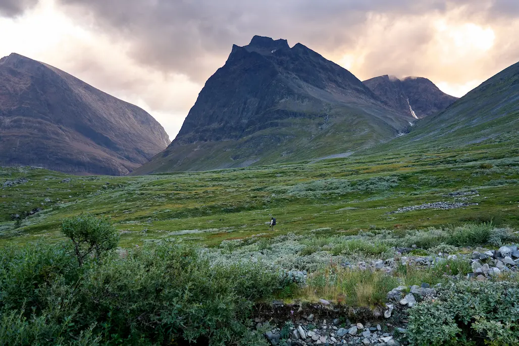 Fjällräven